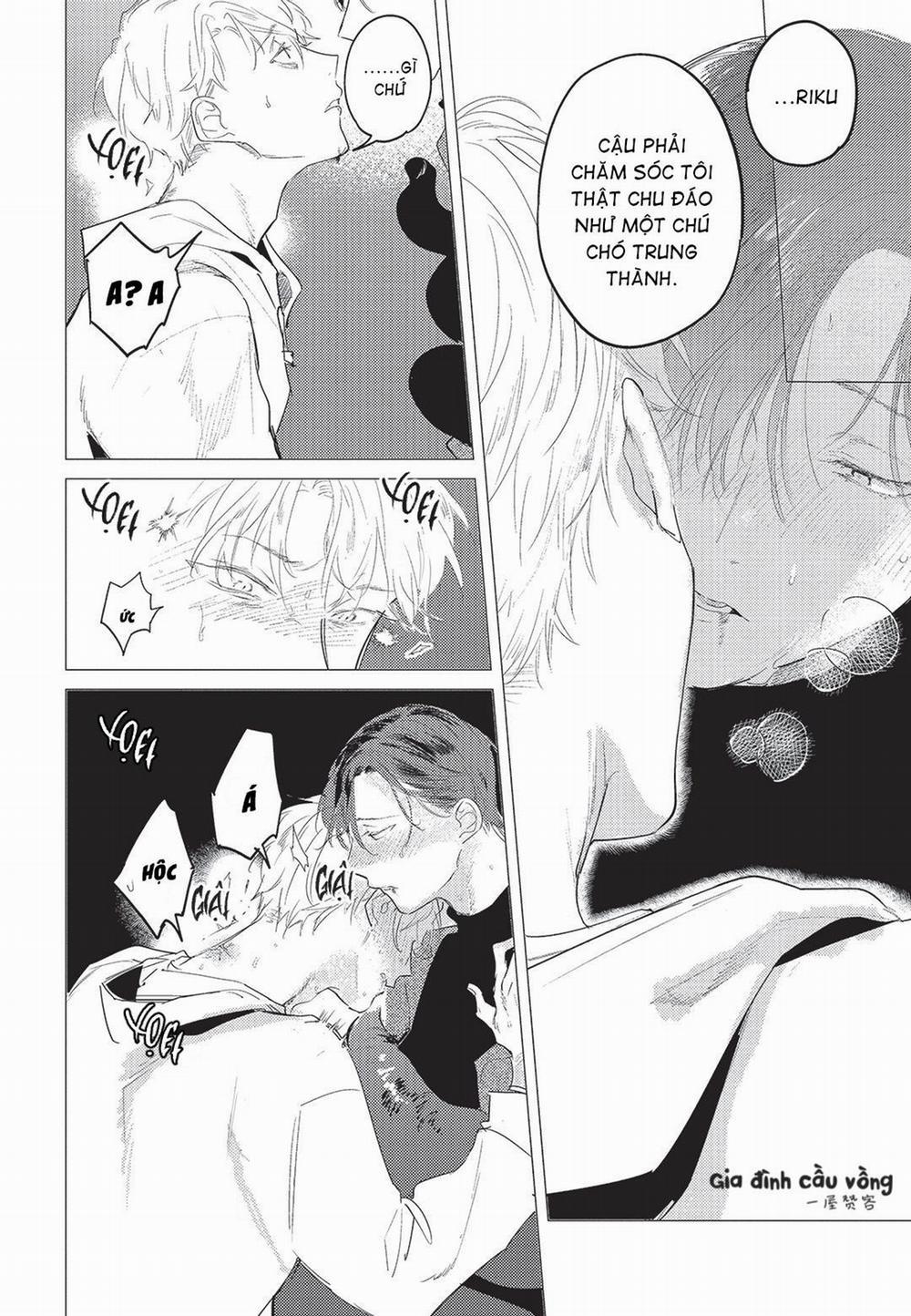 Con chó trung thành muốn cưỡi lên chủ nhân của mình 4 trang 13