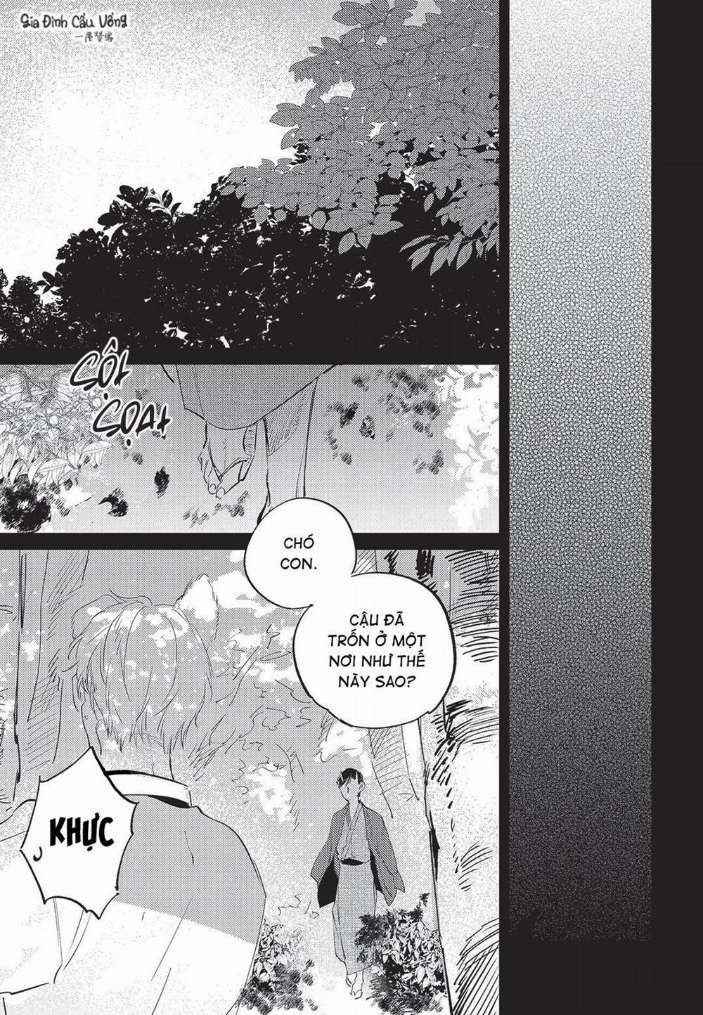 Con chó trung thành muốn cưỡi lên chủ nhân của mình 5 trang 13