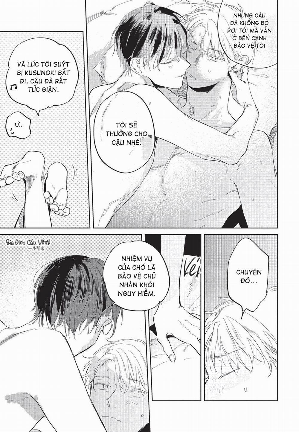 Con chó trung thành muốn cưỡi lên chủ nhân của mình 5 trang 25