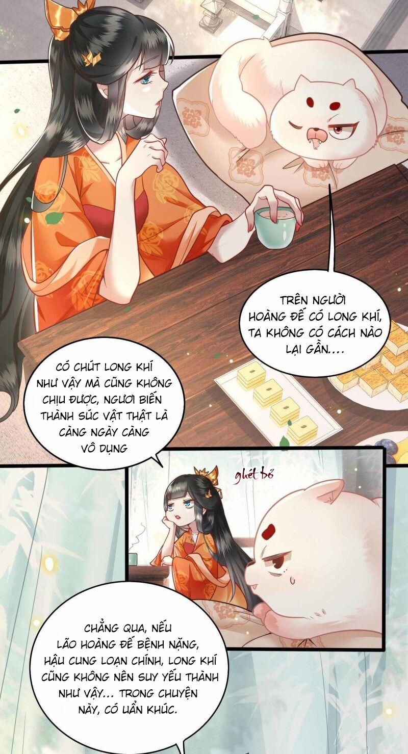 Con Đường Hoang Dã Của Vương Phi 17 trang 2