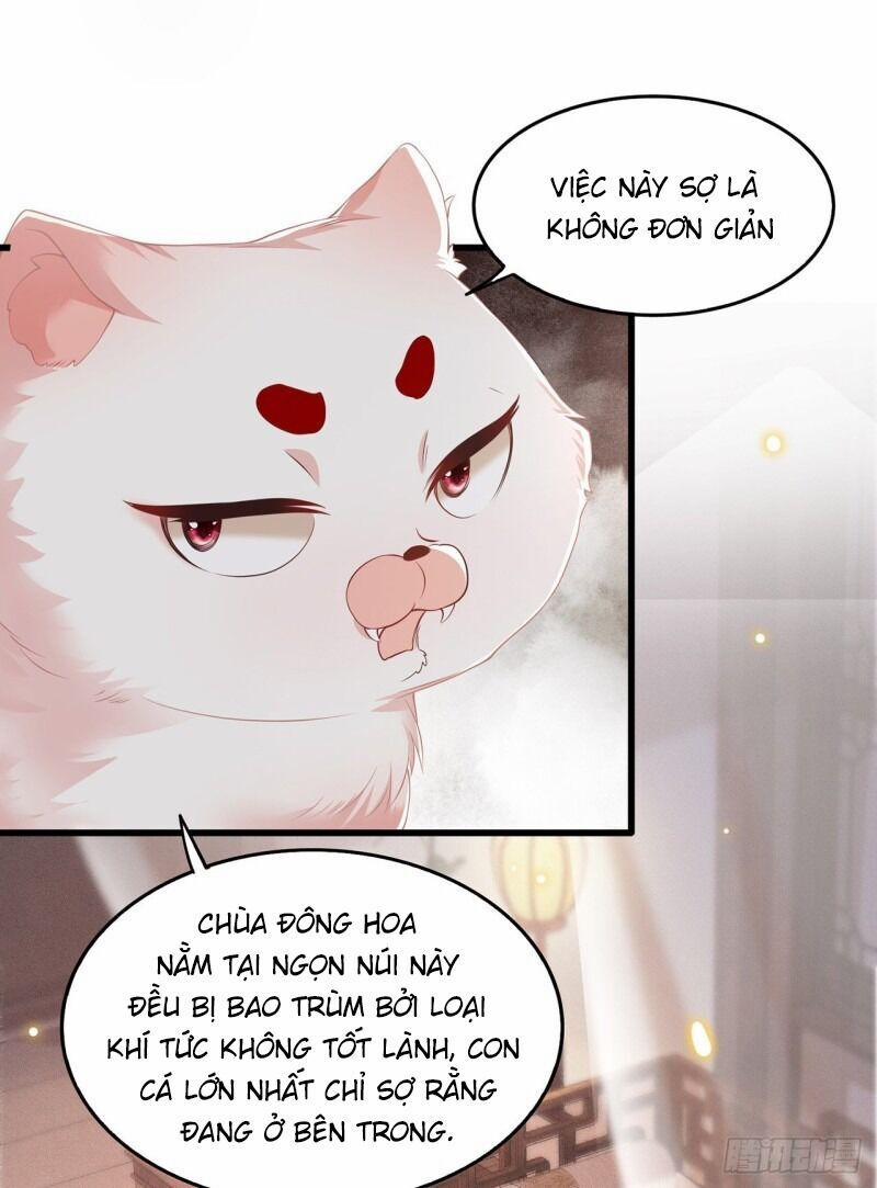 Con Đường Hoang Dã Của Vương Phi 22 trang 11