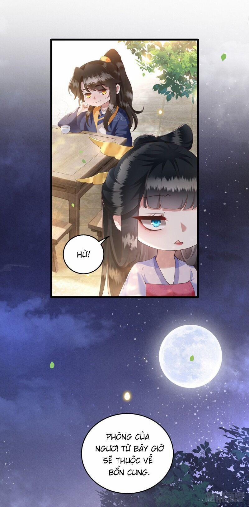 Con Đường Hoang Dã Của Vương Phi 22 trang 8