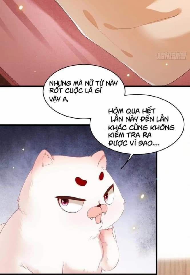 Con Đường Hoang Dã Của Vương Phi 28 trang 13