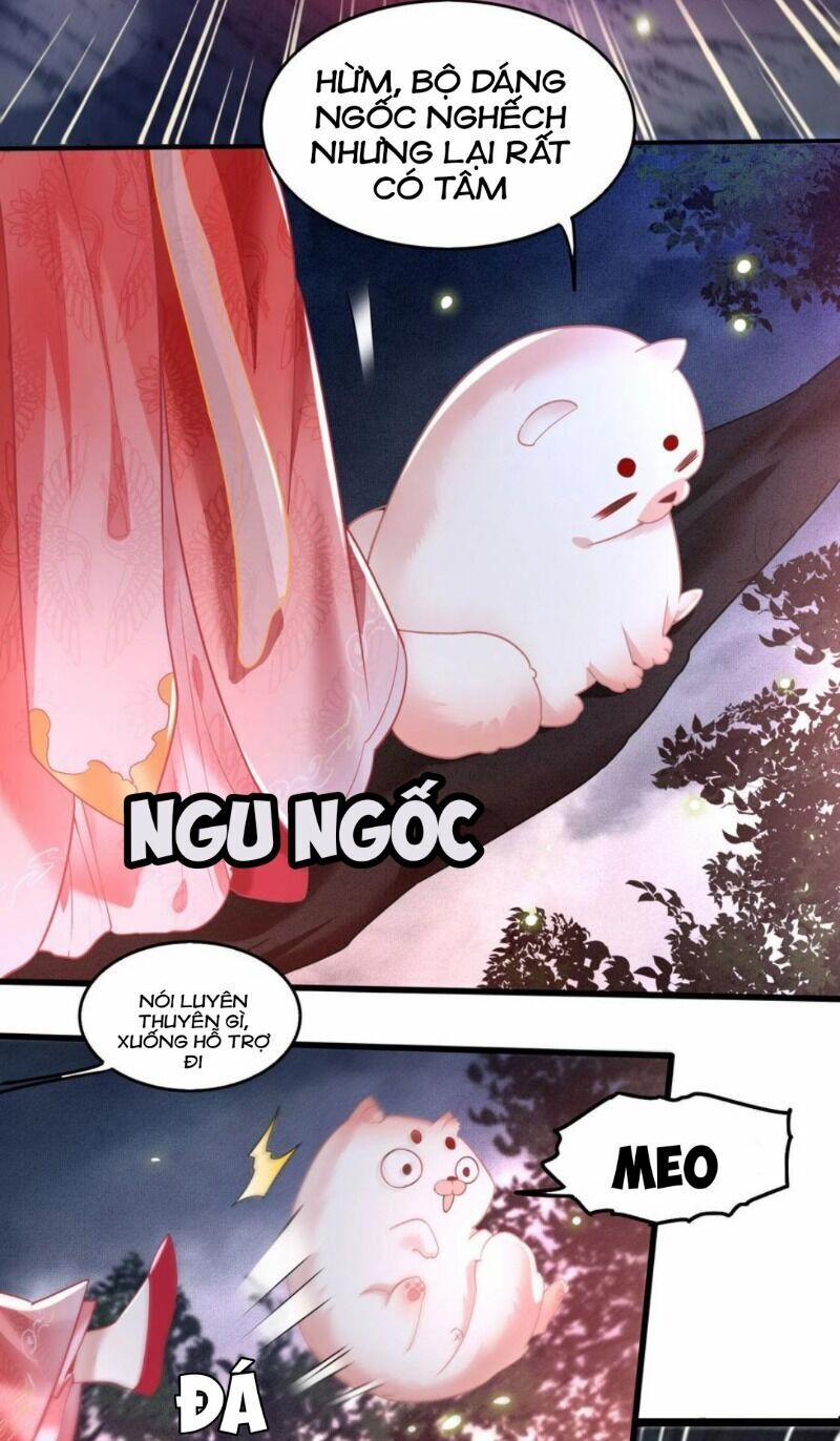 Con Đường Hoang Dã Của Vương Phi 31 trang 18