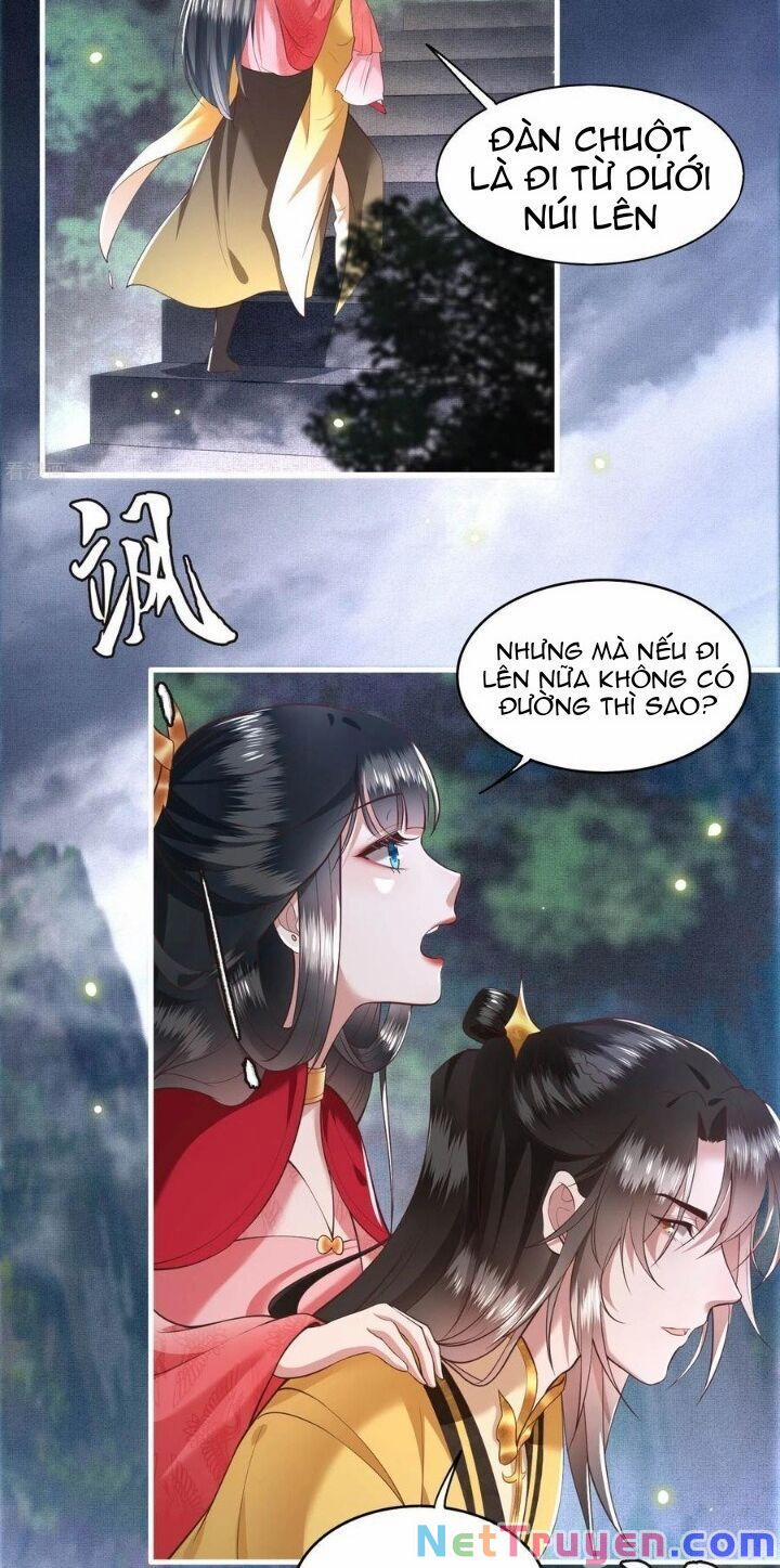 Con Đường Hoang Dã Của Vương Phi 32 trang 14