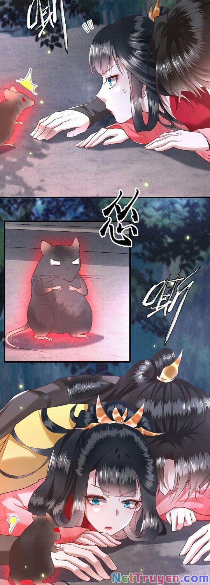 Con Đường Hoang Dã Của Vương Phi 32 trang 25