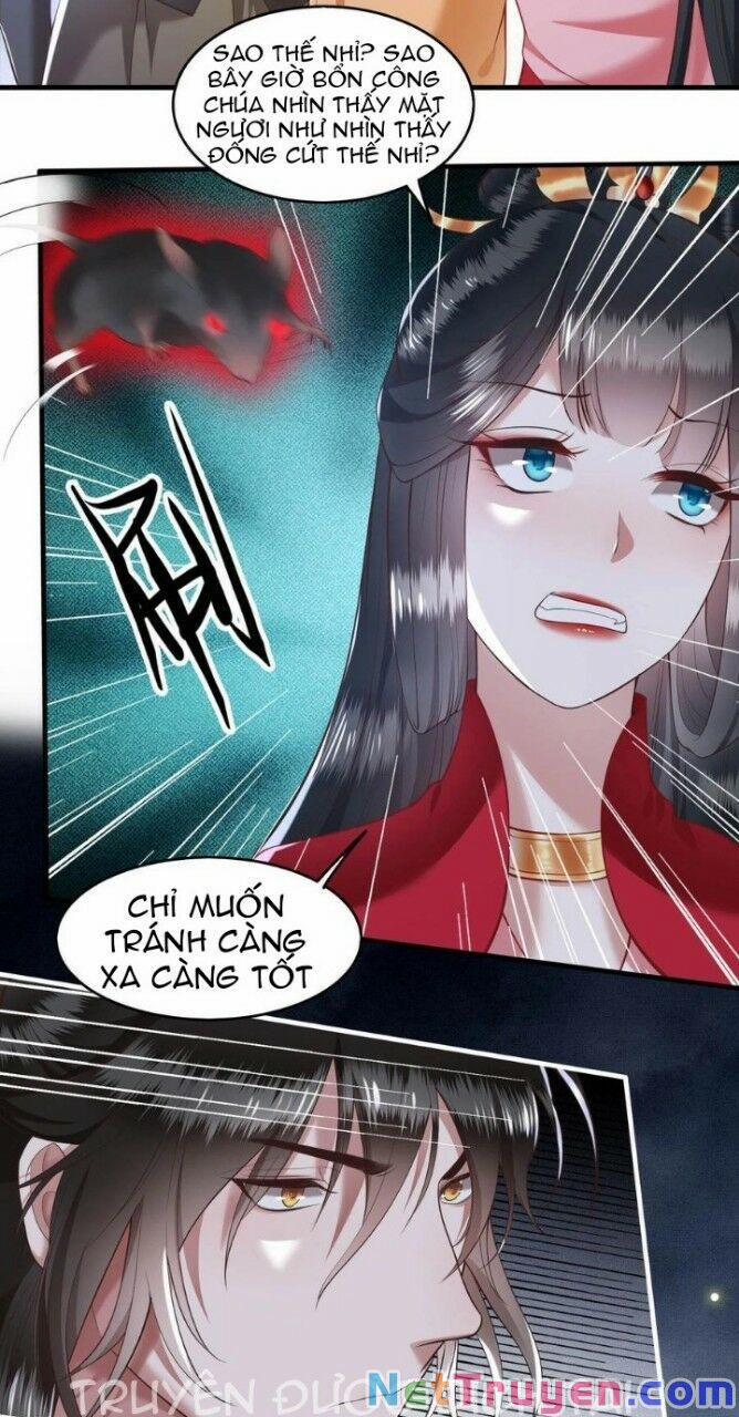 Con Đường Hoang Dã Của Vương Phi 32 trang 4