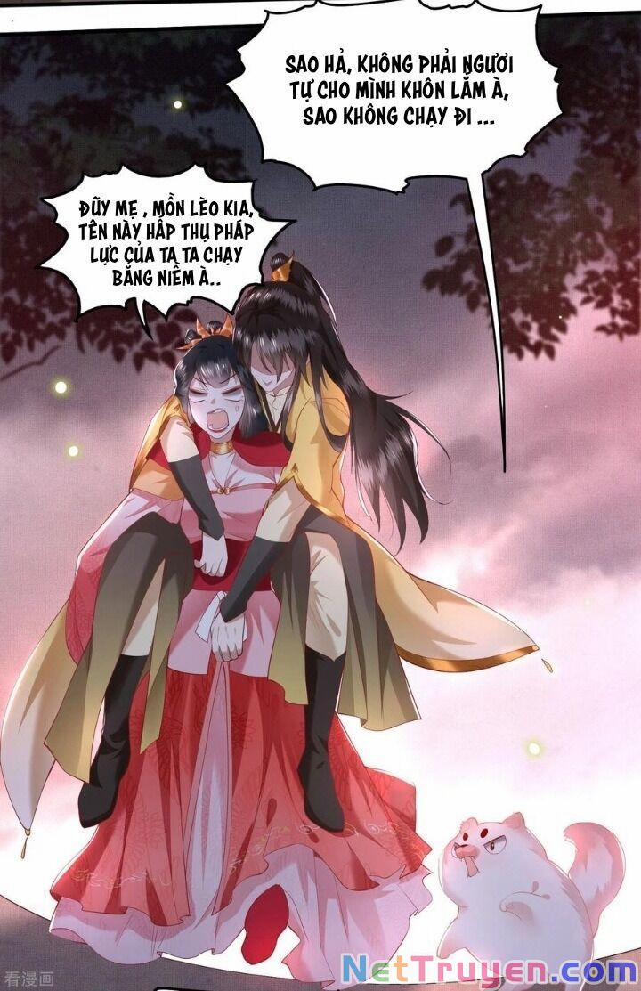 Con Đường Hoang Dã Của Vương Phi 33 trang 3