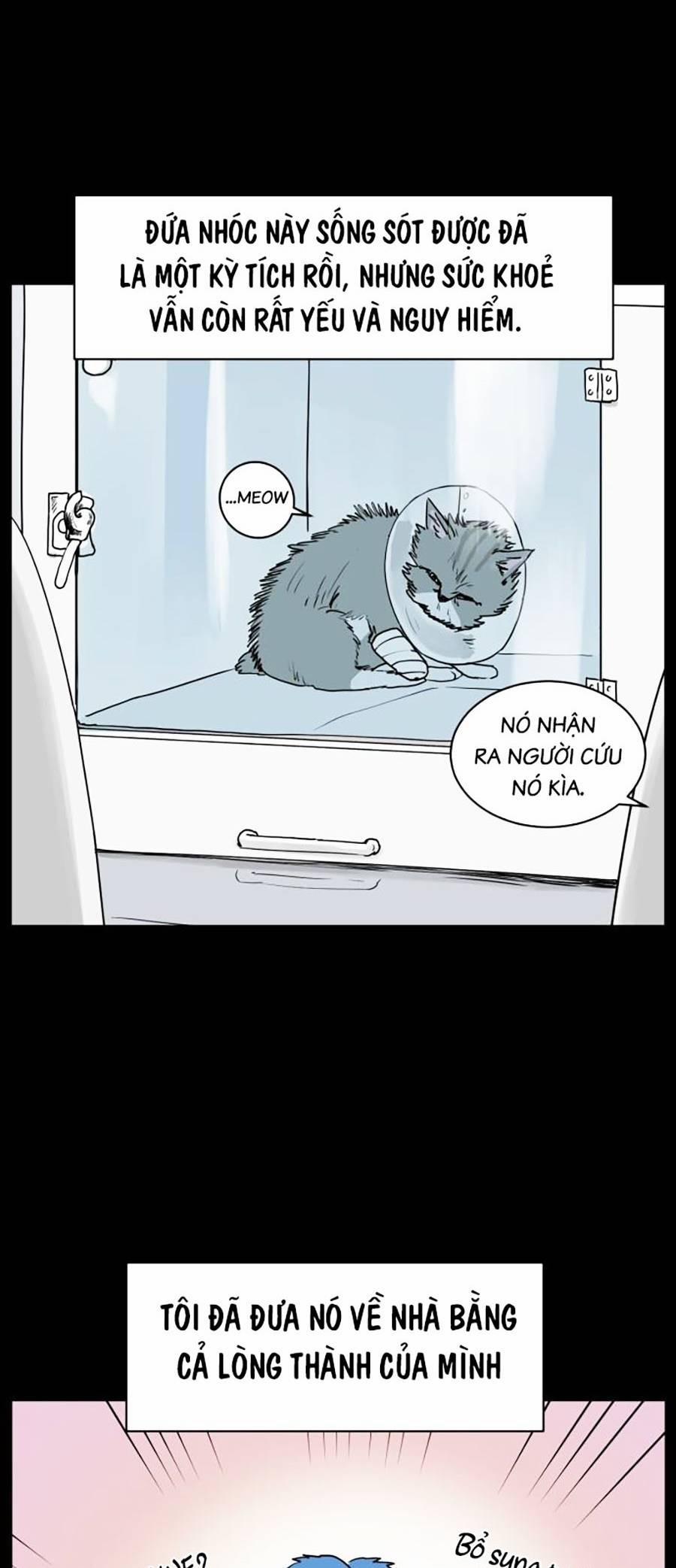 Con Mèo Đô Vật Của Tôi 1 trang 21