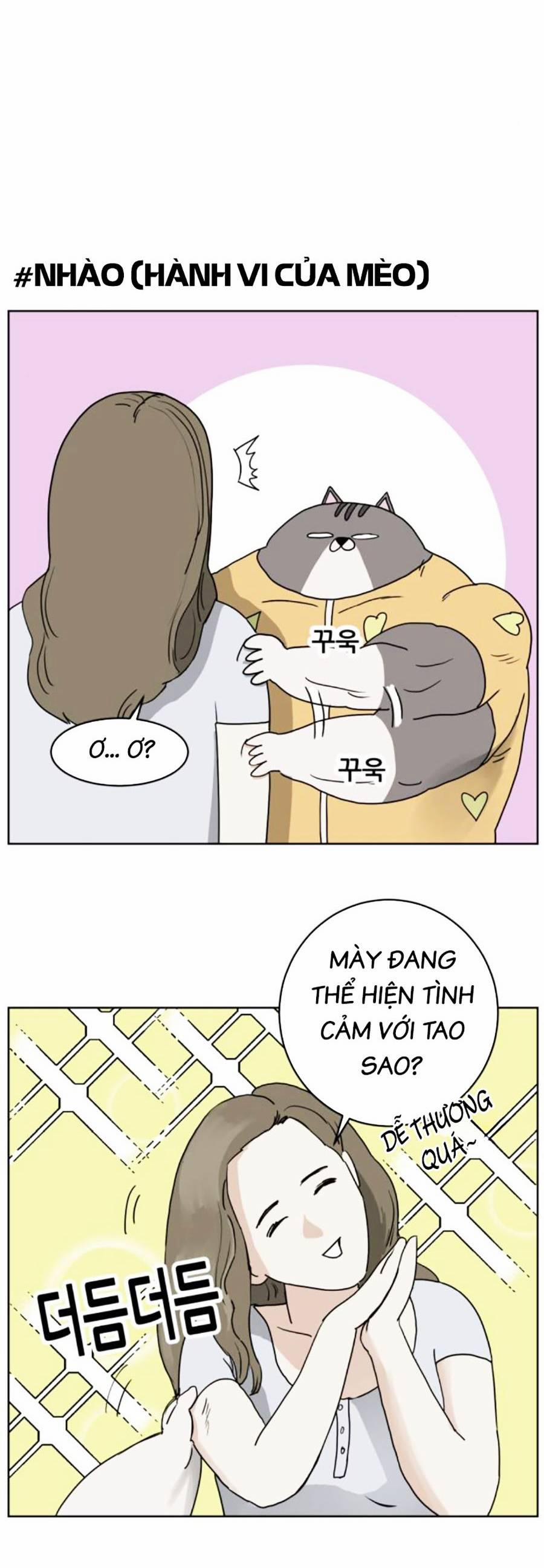 Con Mèo Đô Vật Của Tôi 3 trang 18