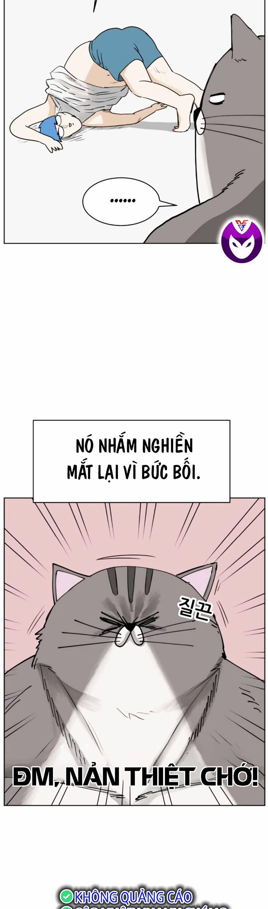 Con Mèo Đô Vật Của Tôi 4 trang 48