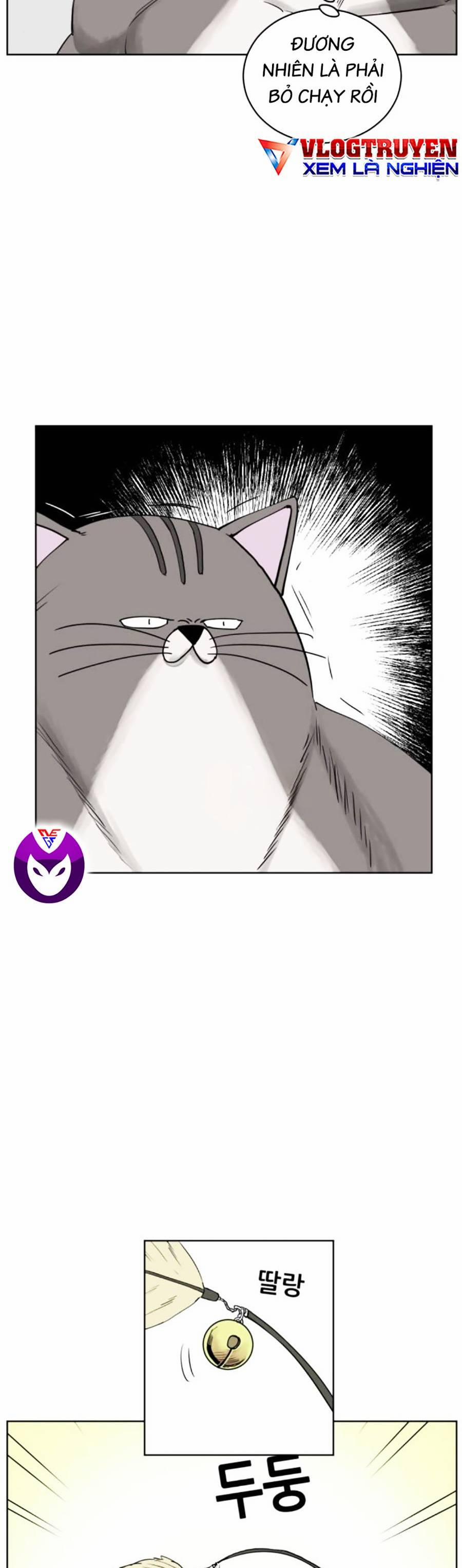 Con Mèo Đô Vật Của Tôi 4 trang 50