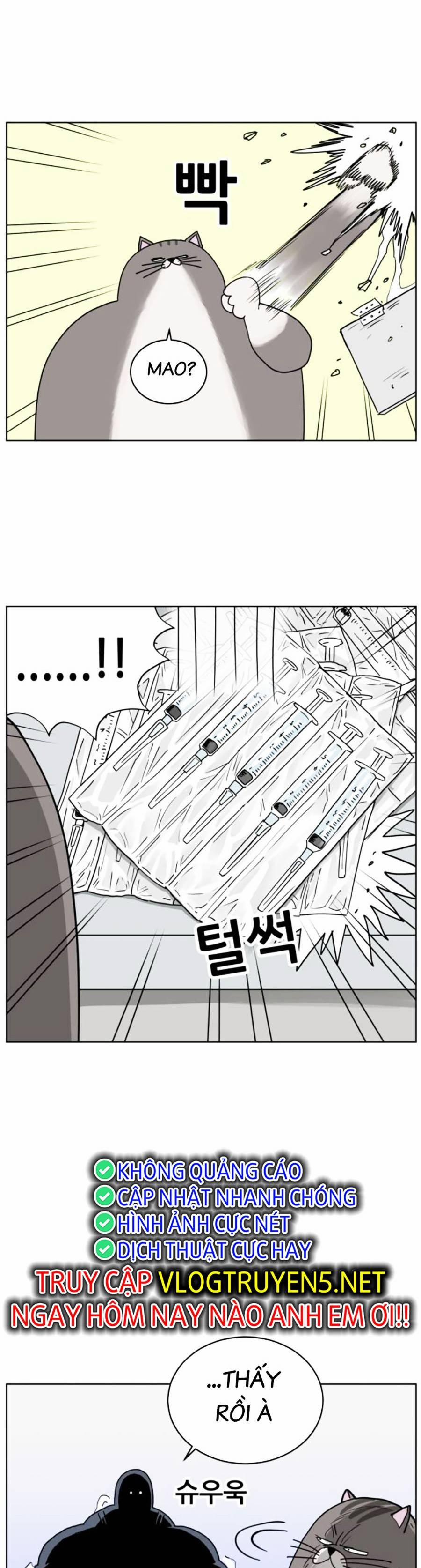 Con Mèo Đô Vật Của Tôi 5 trang 20