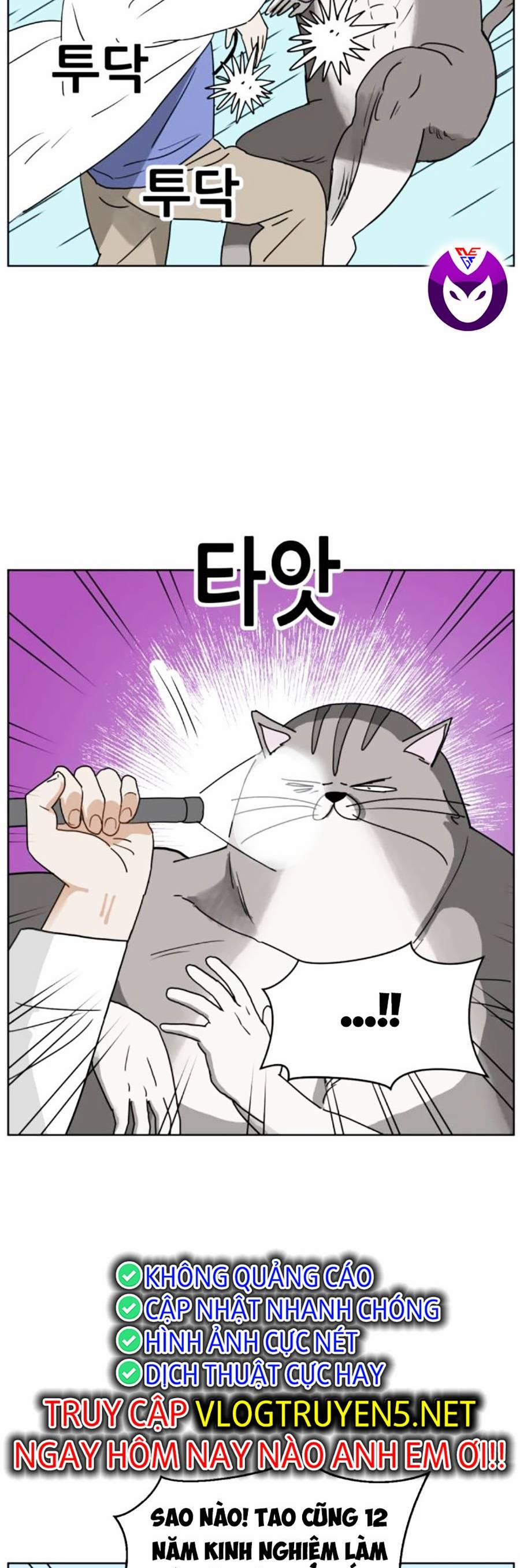 Con Mèo Đô Vật Của Tôi 7 trang 16