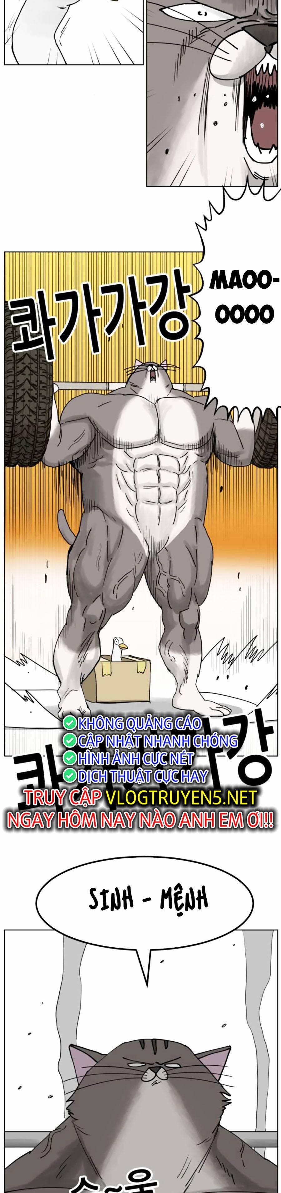 Con Mèo Đô Vật Của Tôi 8 trang 20