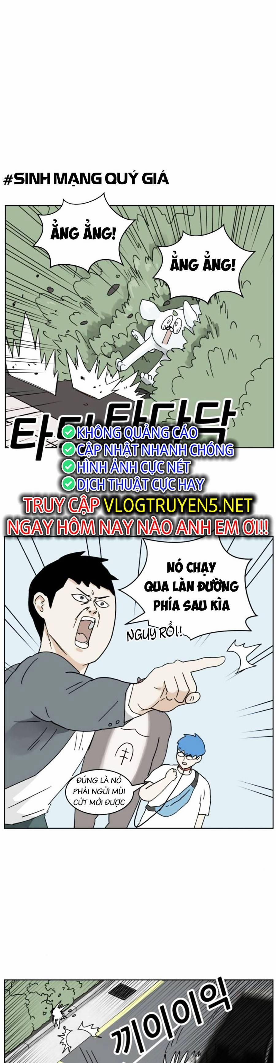 Con Mèo Đô Vật Của Tôi 9 trang 24