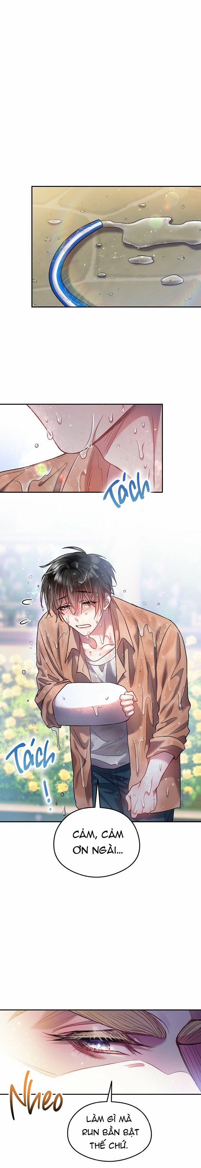 Cơn Mưa Kẹo Ngọt 11 trang 17