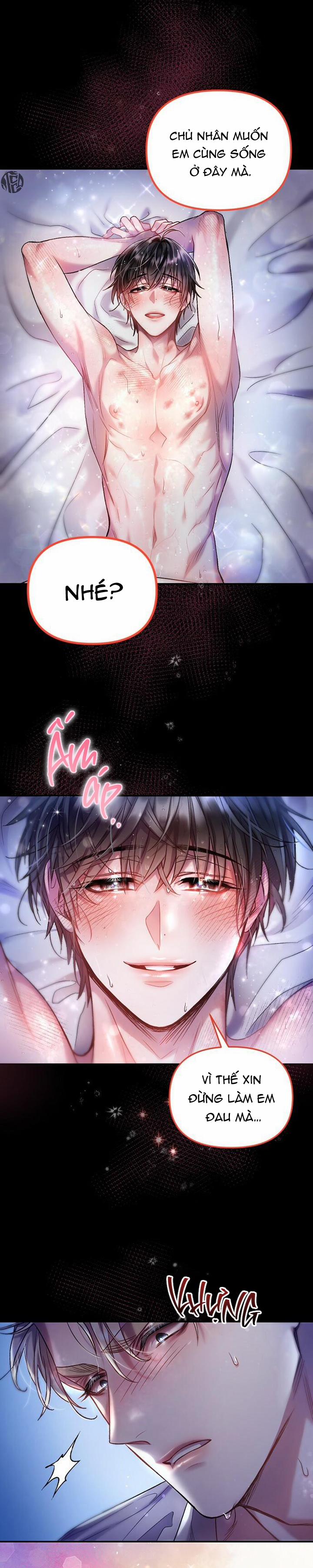 Cơn Mưa Kẹo Ngọt 12 trang 5