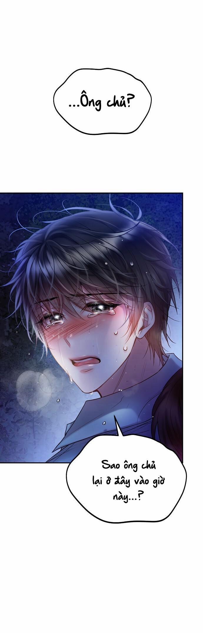 Cơn Mưa Ngọt Ngào 43 trang 28