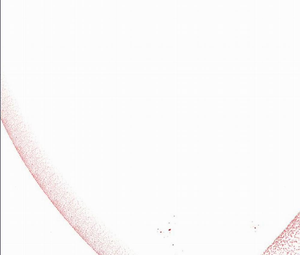 Con Người Không Phải Thứ Có Thể Sửa Rồi Dùng Được Đâu! 21.3 trang 20