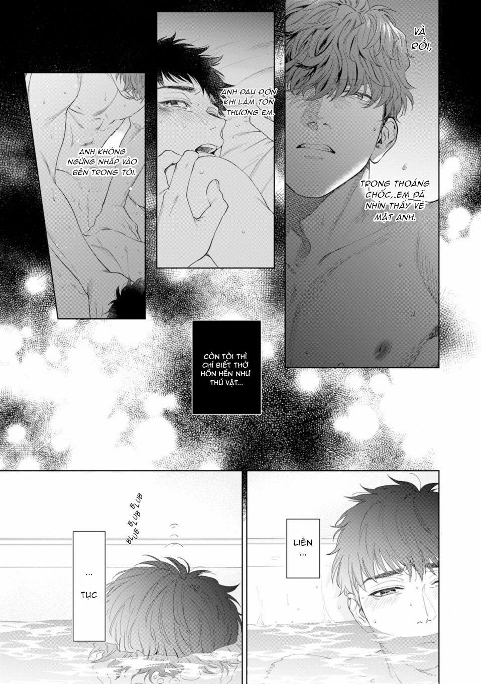 Con sói đội lốt cừu 7 trang 10