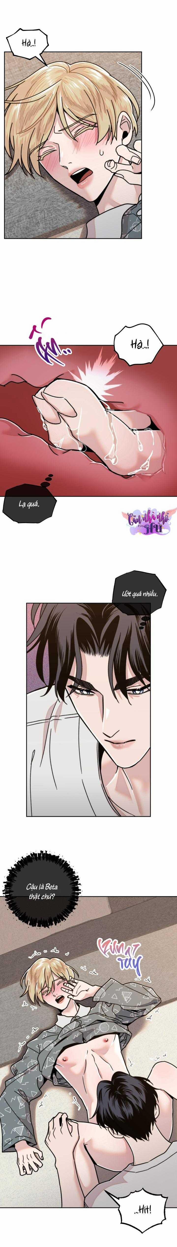 Công Chúa Nhà Bên 8 trang 11