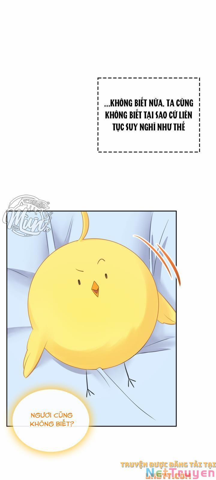 Công Chúa Phản Diện Muốn Sống Trong Cửa Hàng Bánh Ngọt 49 trang 17