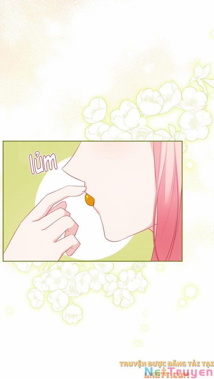 Công Chúa Phản Diện Muốn Sống Trong Cửa Hàng Bánh Ngọt 50 trang 20