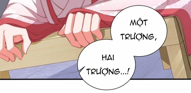 Công Chúa Tại Thượng: Quốc Sư Mời Xuống Kiệu 48 trang 14