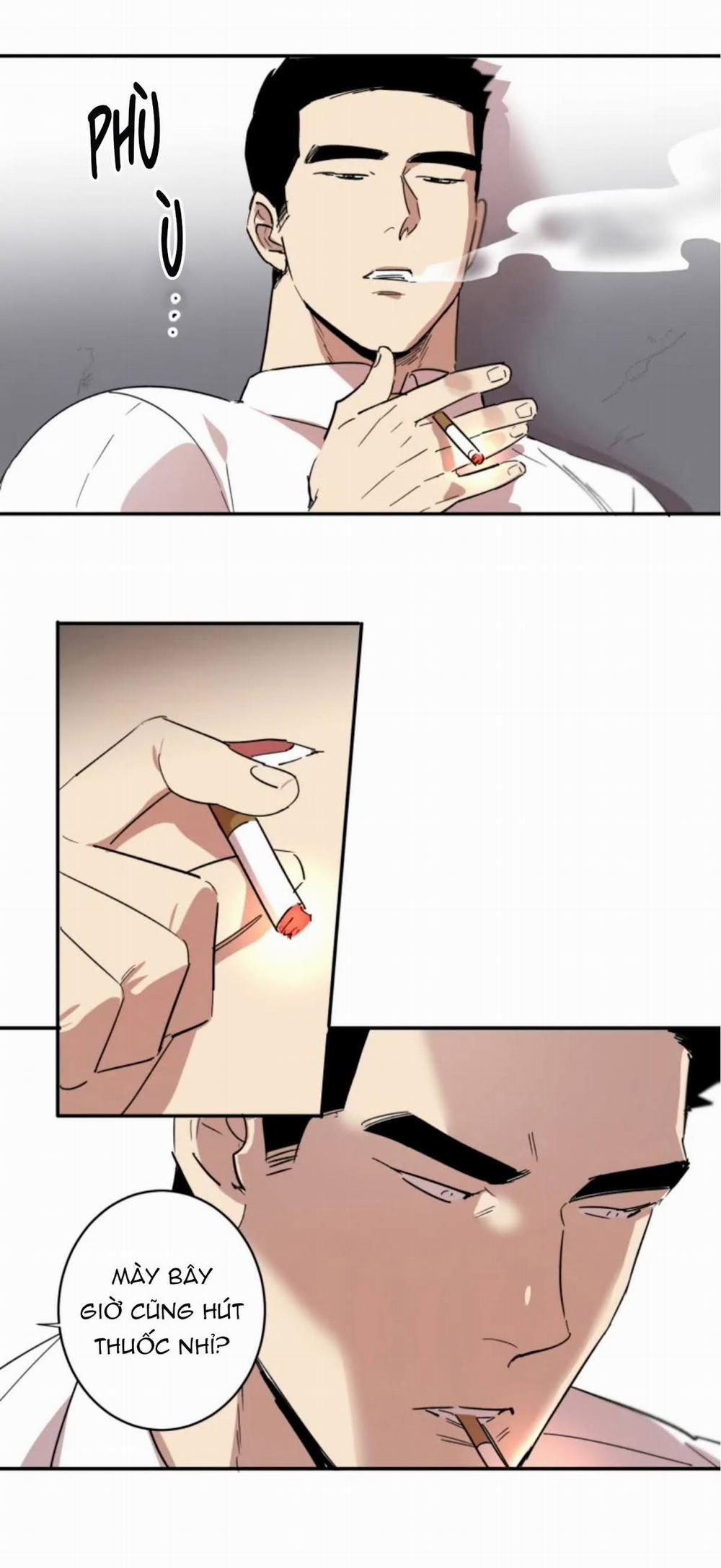 Công Dụng Của Cà Vạt 13 trang 18