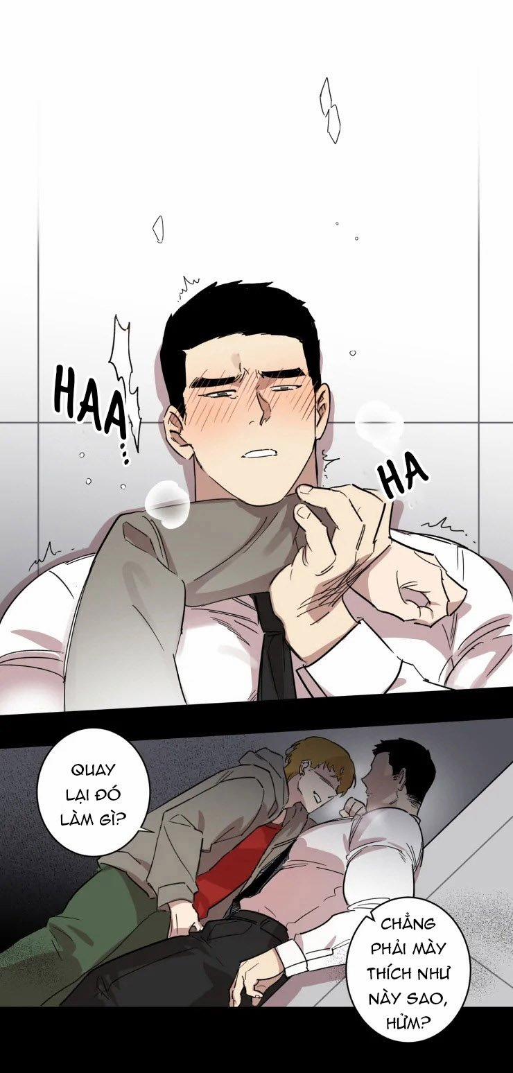 Công Dụng Của Cà Vạt 14 trang 0