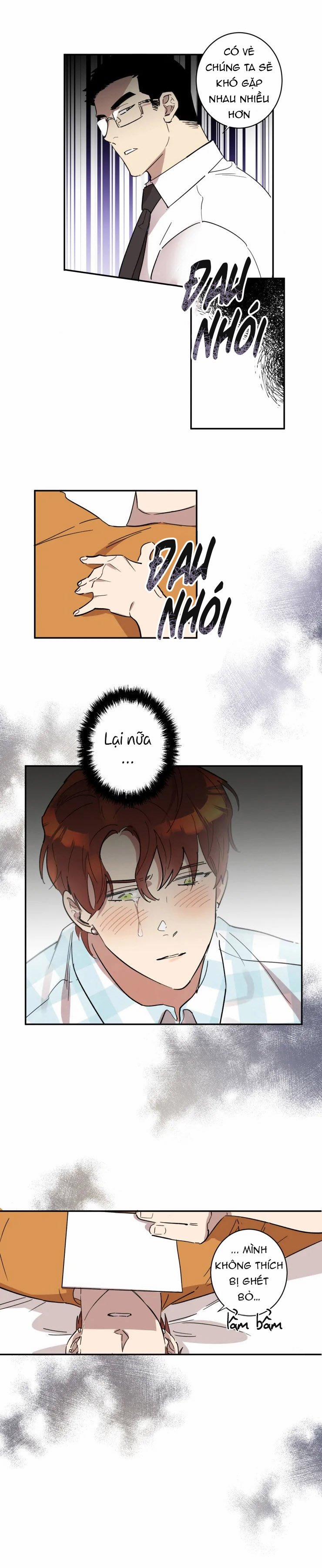 Công Dụng Của Cà Vạt 23 trang 13