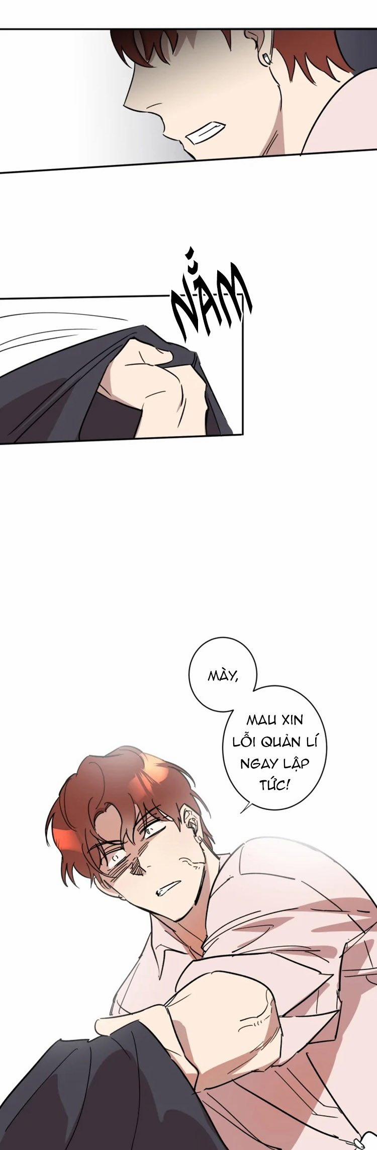 Công Dụng Của Cà Vạt 26 trang 11