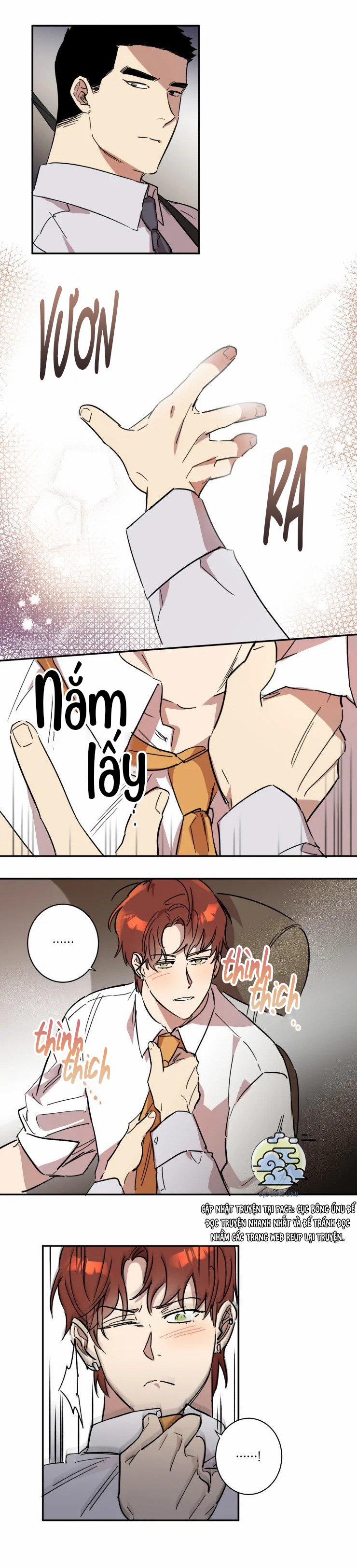 Công Dụng Của Cà Vạt 30 trang 11