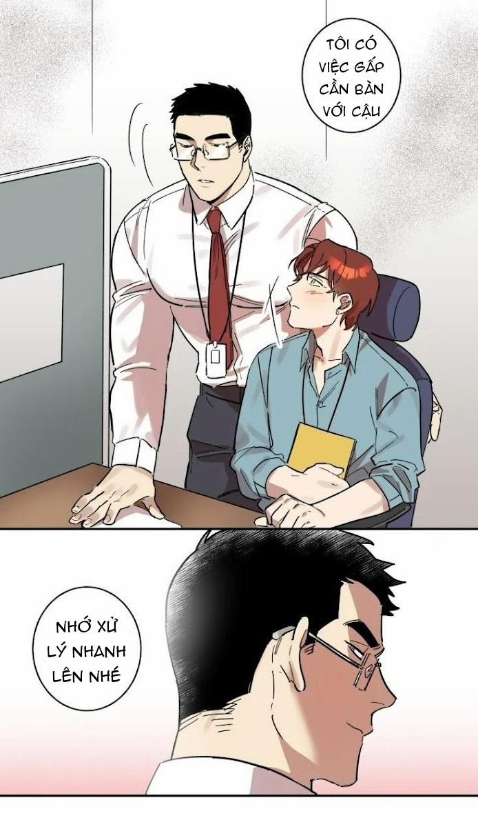 Công Dụng Của Cà Vạt 9 trang 12