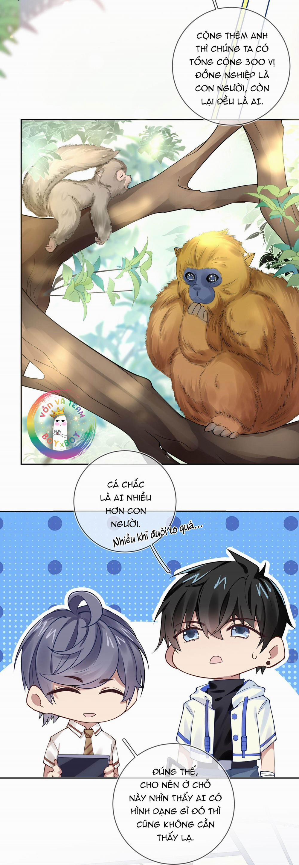 Cổng Homer 8 trang 8