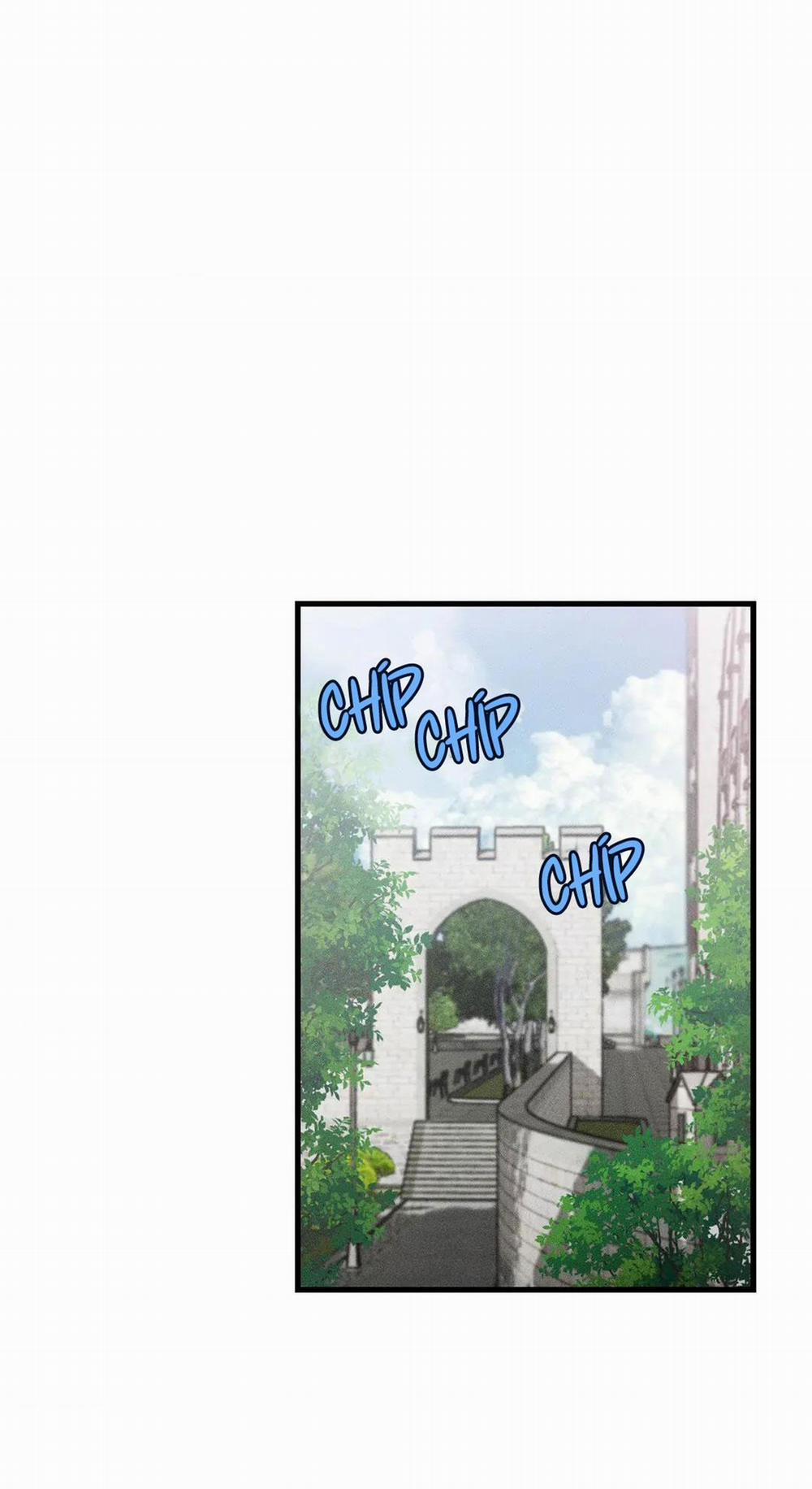 Công Lập Left Fluke 12 trang 23