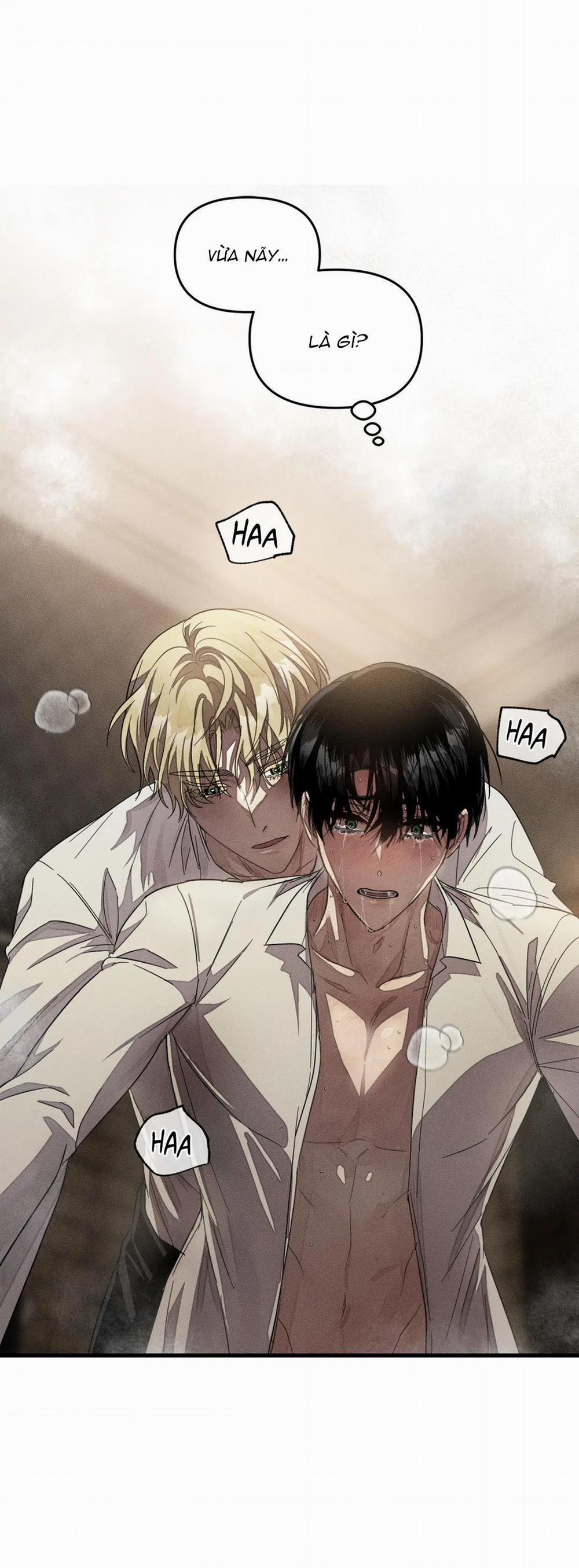 Công Lập Left Fluke 21 trang 0