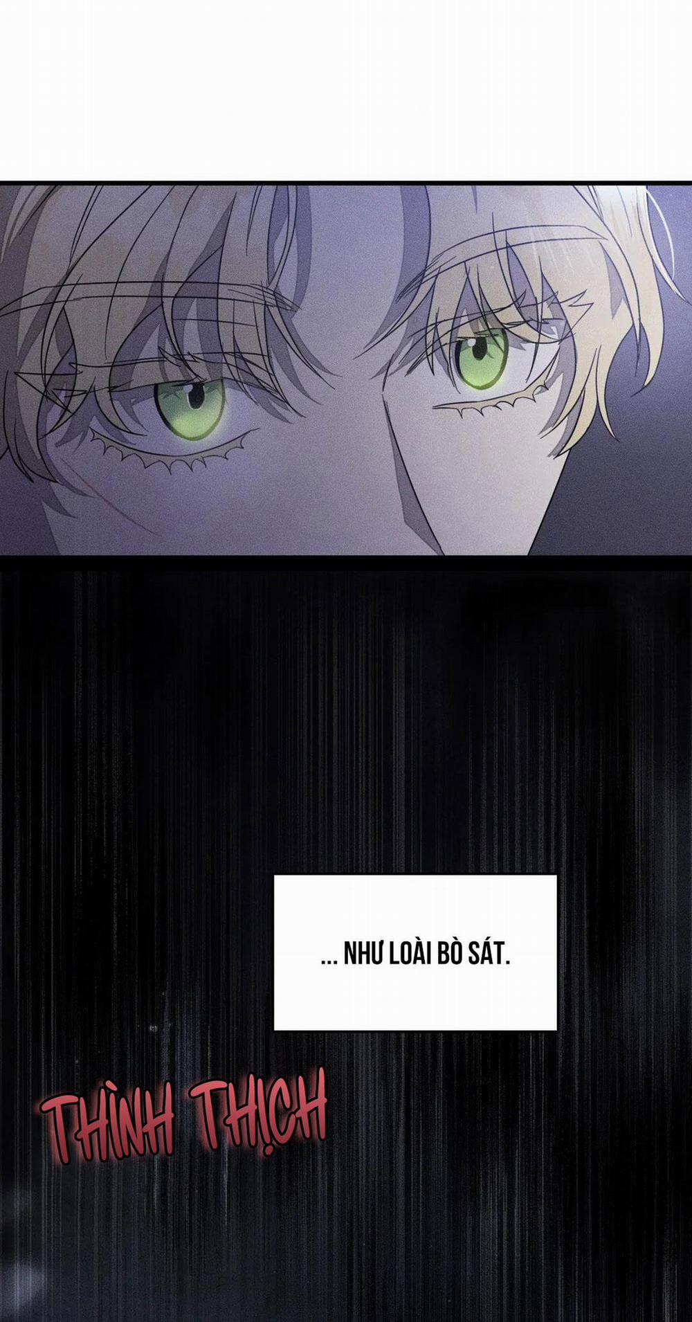 Công Lập Left Fluke 6 trang 17