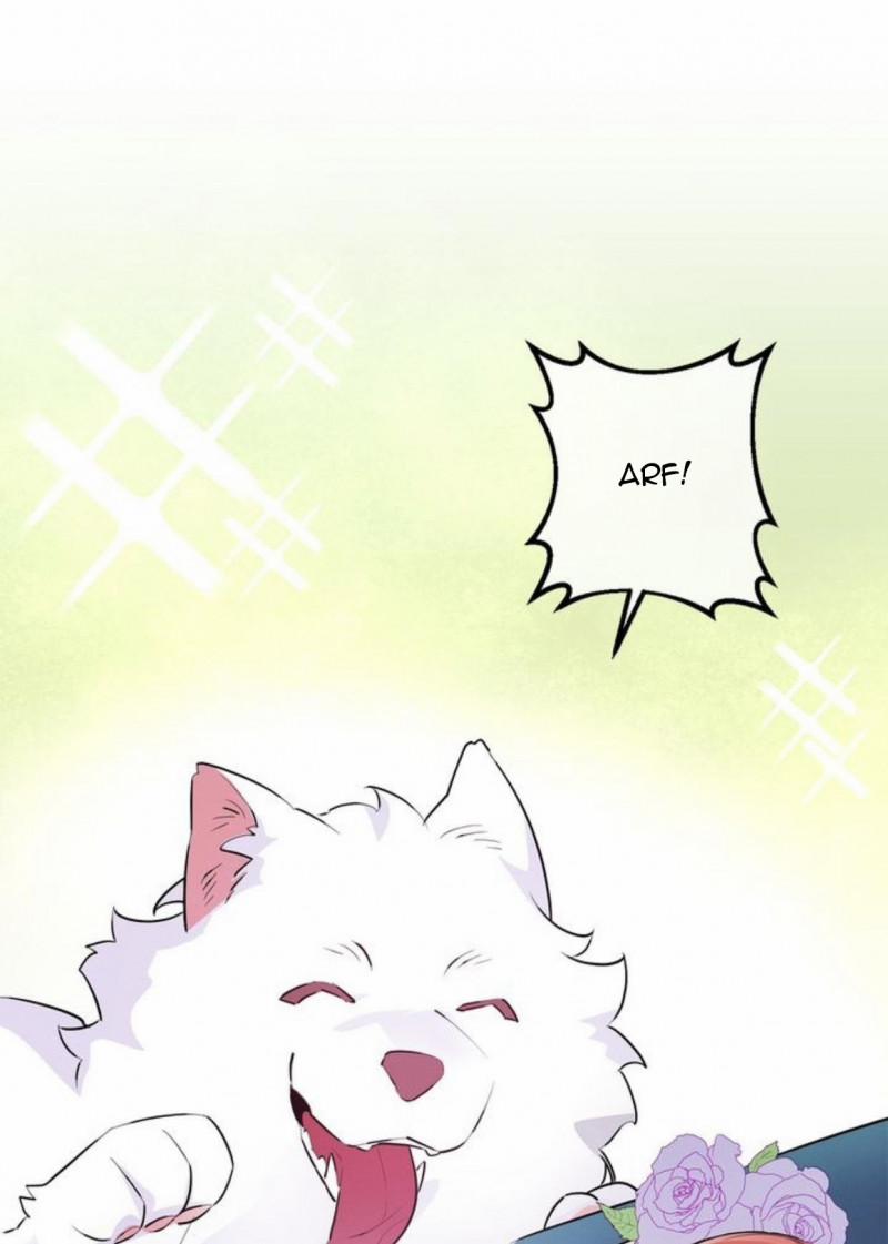 Công Nương Đã Thay Đổi 67 trang 17