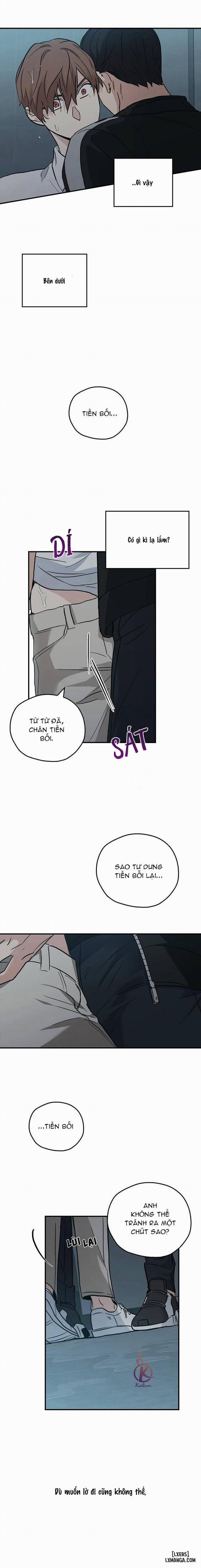 Công Tắc An Toàn 11 trang 13