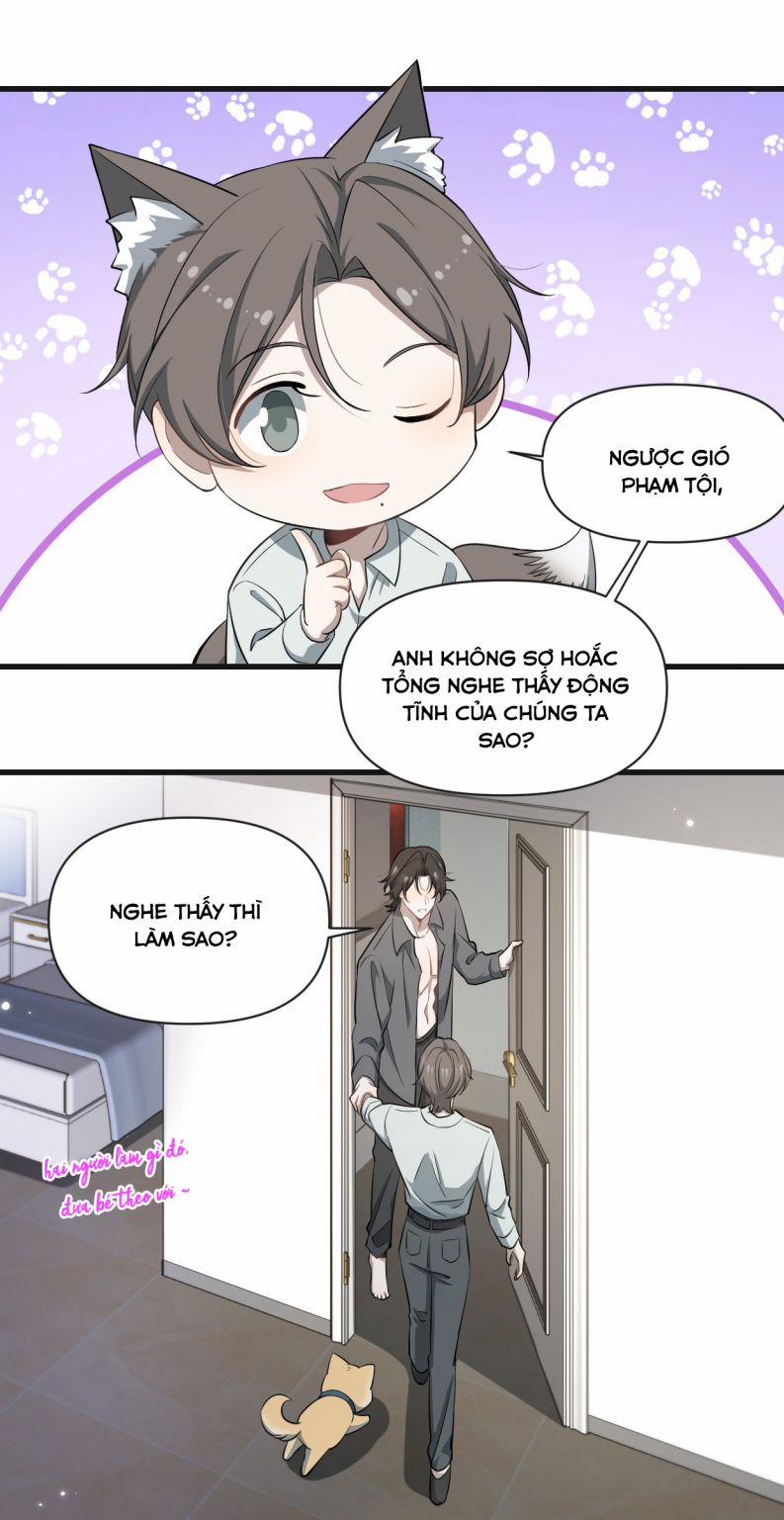 Công Thức Mỹ Học 67 trang 17