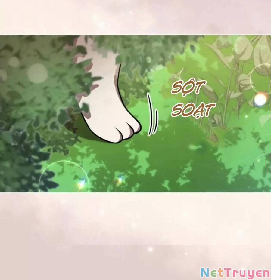 Công Tước Ác Quỷ Không Ngủ Được 27 trang 7