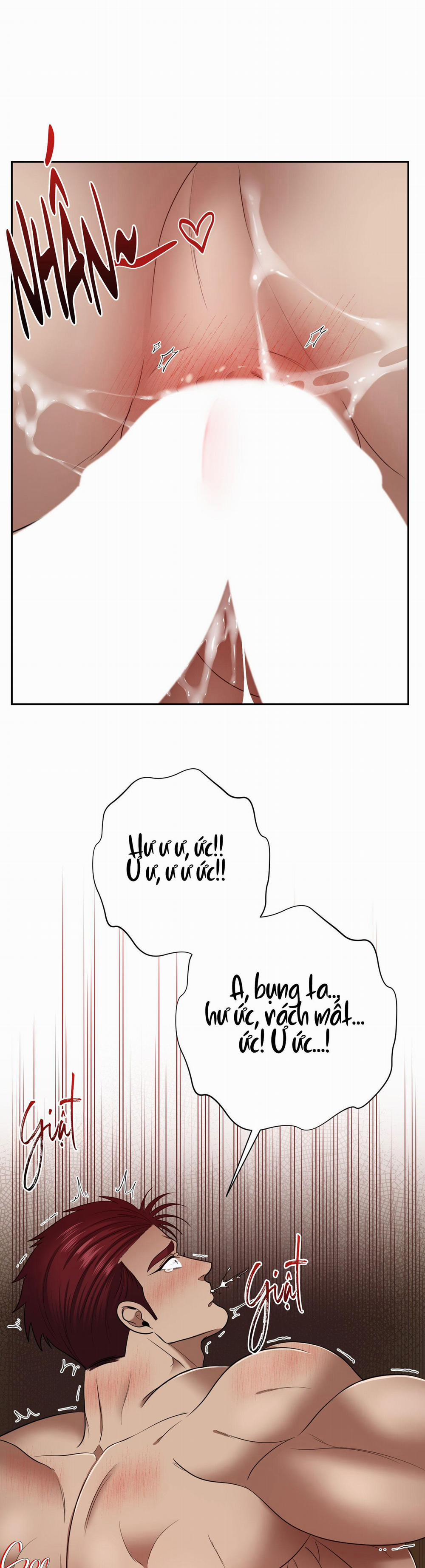 CÔNG TƯỚC MUỐN CÓ CON NỐI DÕI 30 H+++ 0 SIU NỨN trang 13