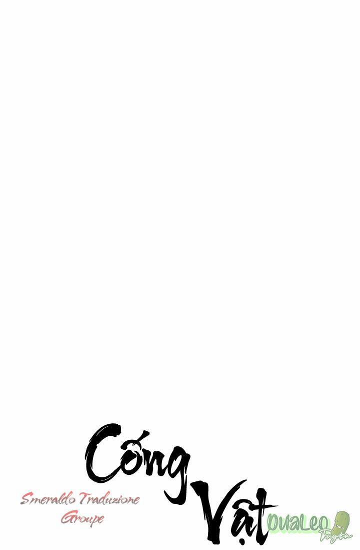 Cống Vật 13 trang 0