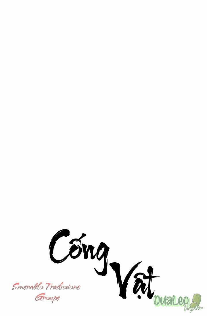 Cống Vật 15 trang 0