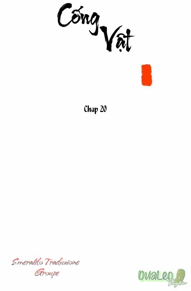 Cống Vật 20 trang 8