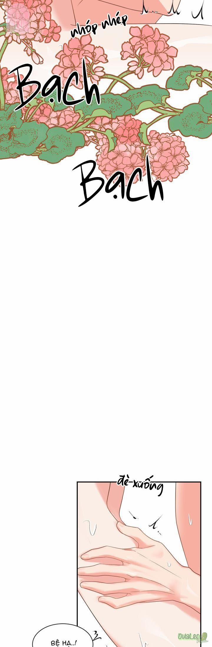 Cống Vật 23 trang 29