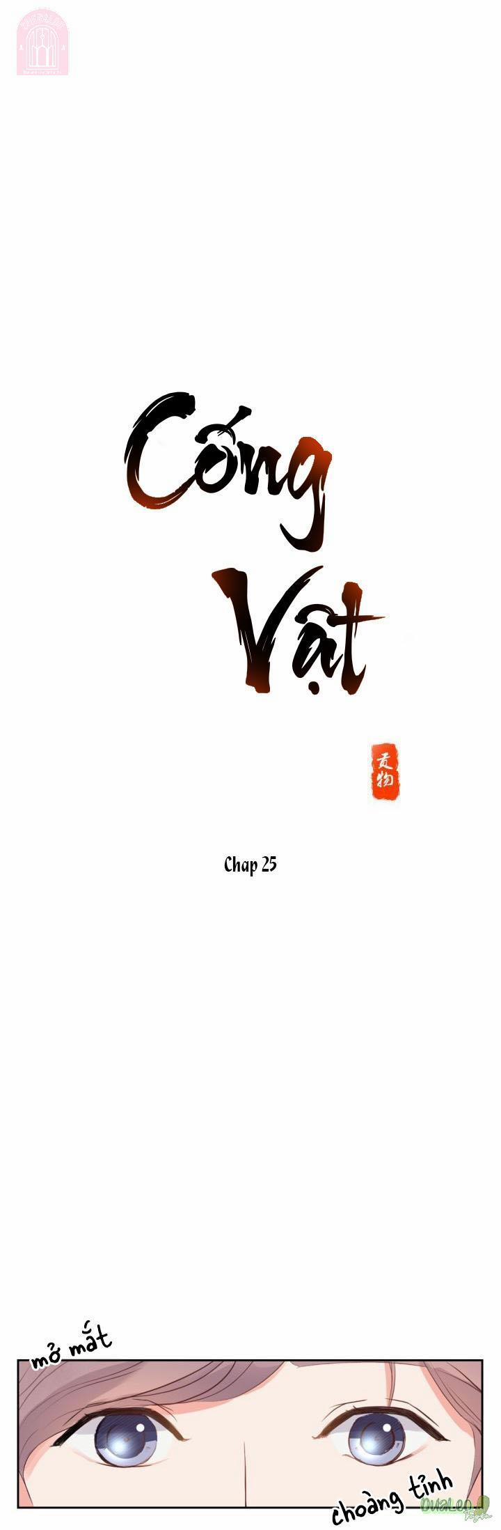 Cống Vật 25 trang 0