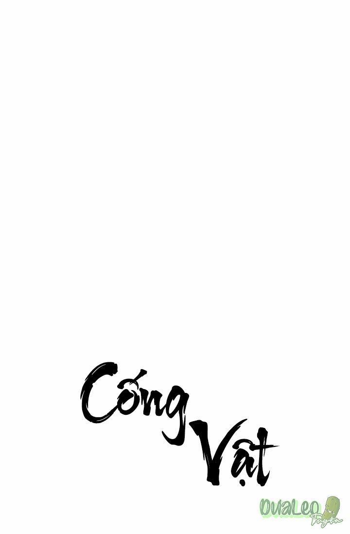 Cống Vật 7 trang 0